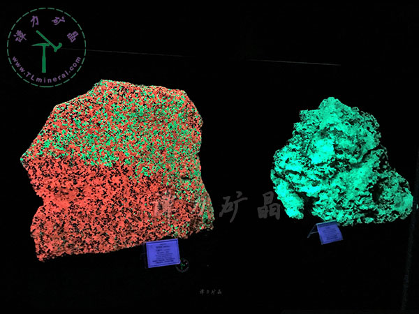 短波紫外燈：硅鋅礦（左），玉滴石（右）